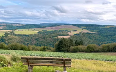 Der TV berichtete am 28.08.25: „Bürgermeisterwahl in der VG-Ruwer: Solarpark ist der Aufreger“